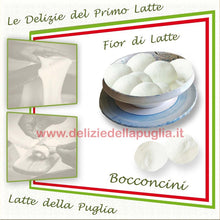 Carica l'immagine nel visualizzatore di Gallery, Speciali i Bocconcini di Latte le Mozzarelle di latte della Puglia, direttamente a casa tua freschi a temperatura controllata