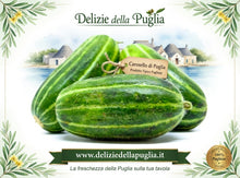 Carica l'immagine nel visualizzatore di Gallery, Finalmente il Cetriolo Carosello di Puglia, direttamente a casa tua Delizie della Puglia direttamente a casa tua prodotto tipico vera Delizie della Puglia