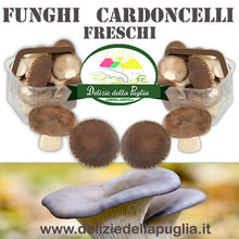 Carica l'immagine nel visualizzatore di Gallery, Ottimi i Funghi Cardoncelli freschi coltivati in confezione da 500gr dalla Puglia, direttamente a casa tua, prodotto tipico e vera Delizie della Puglia