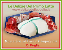 Carica l'immagine nel visualizzatore di Gallery, Gustose e speciali le Mozzarelle al Laccio Campagnola della Puglia, con Latte Pugliese, prodotto caseario tra Andria, Altamura e Bisceglie, è una vera Delizia della Puglia