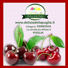 Carica l'immagine nel visualizzatore di Gallery, Ciliegie Ferrovia in Confezione 500 gr. da Fresco D'Orto una Delizia della Puglia, Ortofrutta Già pronta, Ciliegia Ferrovia e Prodotti tipici della Puglia direttamente a casa tua