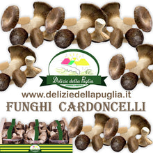Carica l&#39;immagine nel visualizzatore di Gallery, Ecco il Fungo Cardoncello fresco e coltivati dalla Puglia, direttamente a casa tua Delizie della Puglia una vera Delizie della Puglia
