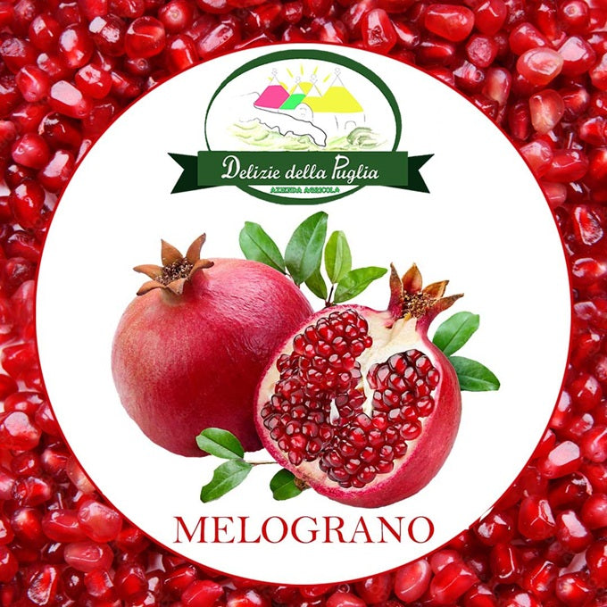 Melagrana Fresca di Puglia