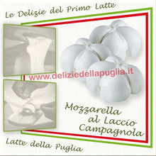 Carica l&#39;immagine nel visualizzatore di Gallery, Speciali e Gustose le Mozzarelle al Laccio Campagnola della Puglia, con Latte Pugliese, prodotto caseario tra Andria, Altamura e Bisceglie, è una vera Delizia della Puglia

