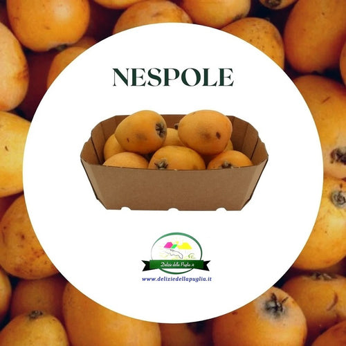 Le Nespole al Giappone frutti dalle proprietà benefiche una Delizia dalla Puglia, Prodotti tipici della Puglia dalla Puglia direttamente a casa tua