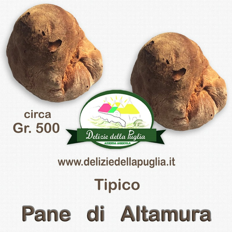 Veramente unico e speciale il Pane di Altamura DOP dalla Terra di Puglia fatto esclusivamente con lievito madre e grano della Terra dell’alta Murgia
