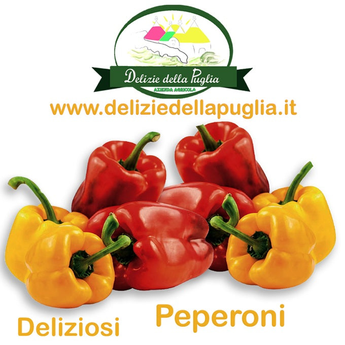 Una Vera Delizia di Puglia il Peperone Pugliese direttamente a casa tua in confezione 500 gr. vere Delizie della Puglia da Bisceglie