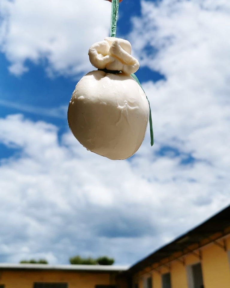 Delizie della Puglia seleziona i Gusti e le tradizioni della puglia attraverso nostri prodotti tipici Pugliesi, le Delizie della Puglia, offre prodotti tipici pugliesi freschi, Mozzarella Olio extra vergine di Oliva EVO, formaggi stagionati Vini e ....