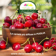 Le Ciliegie Ferrovia in Confezione 500 gr. da Fresco D'Orto una Delizia della Puglia, Ortofrutta Pugliese Già pronta, Ciliegia Ferrovia e Prodotti tipici della Puglia direttamente a casa tua