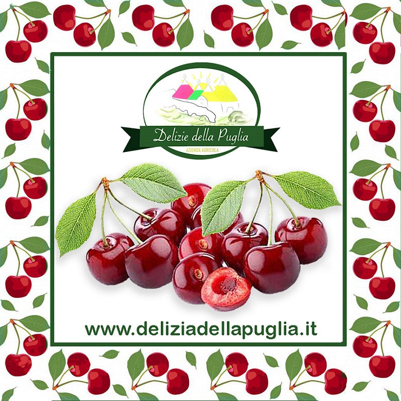 Ciliegie Bigarreau in confezione 500 gr. vera Delizia della Puglia, Ortofrutta Già pronta e Prodotti tipici della Puglia direttamente a casa tua