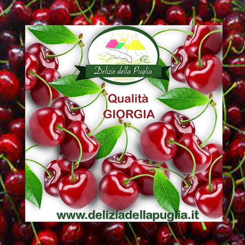 Ciliegie Giorgia in Confezione 500 gr. una Delizia della Puglia, Ortofrutta pronta, la Ciliegia Giorgia e Tanti Prodotti tipici della Puglia direttamente a casa tua