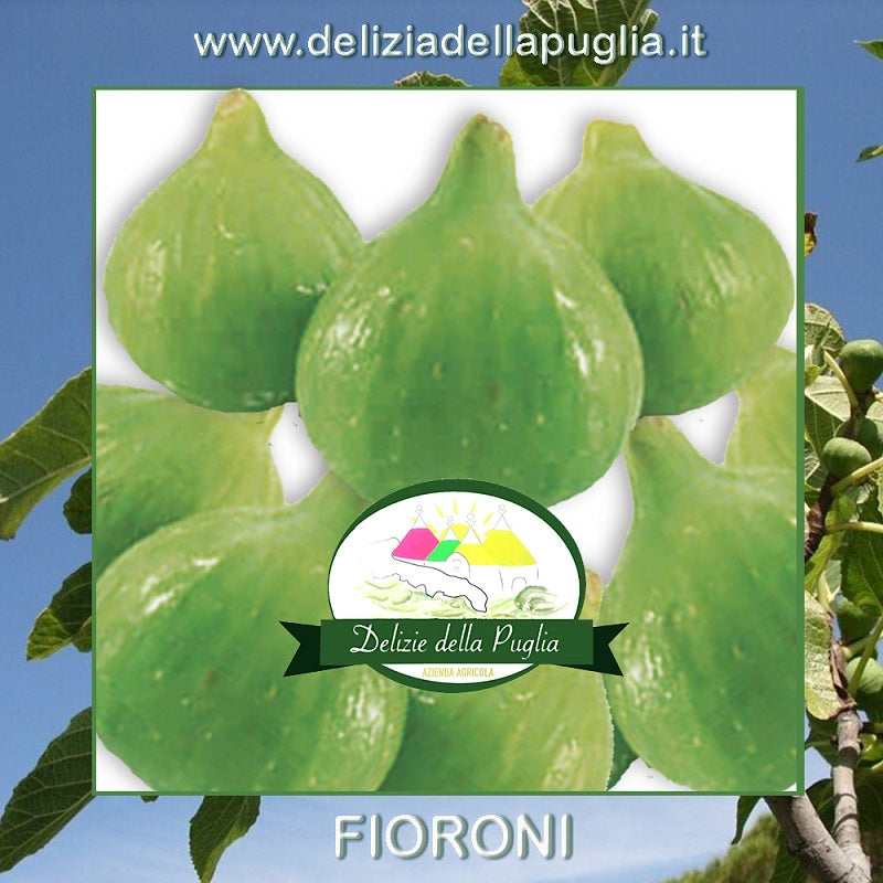 I Fichi e Fioroni della Puglia da gr 400 sono tra le Delizie della Puglia - 0958100982 Ortofrutta e vere Delizie della Puglia a Bisceglie in Puglia