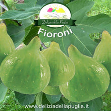 Carica l&#39;immagine nel visualizzatore di Gallery, I Fioroni e Fichi dalla Puglia da gr 400 sono tra le Delizie della Puglia - 0958100982 Ortofrutta e vere Delizie della Puglia a Bisceglie in Puglia
