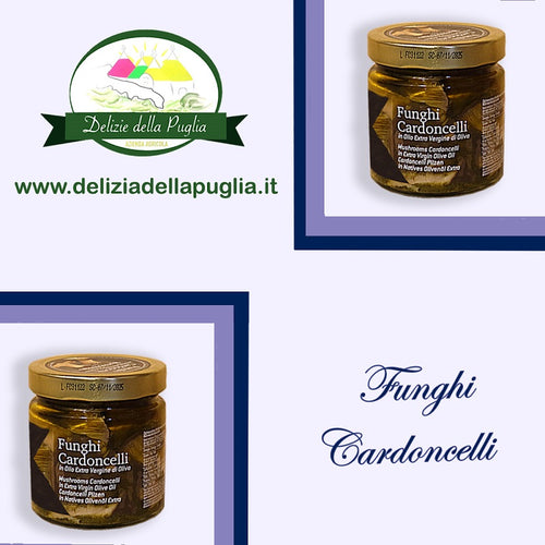 Fungo Cardoncello della Terra di Puglia in Olio extra vergine di oliva EVO Delizie della Puglia Prodotti tipici Pugliesi Bisceglie 8033866853239