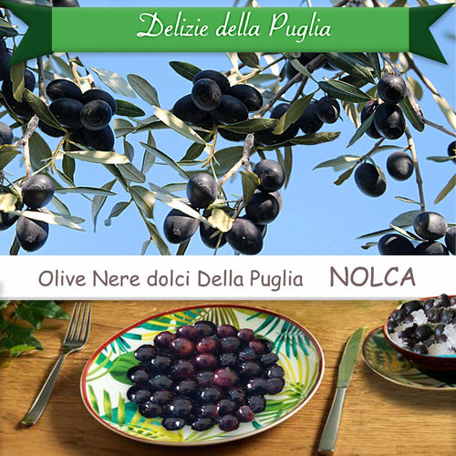 le Gustose Olive nere dolci e Olive nolche della Puglia le Olive Nolca con tante Delizie della Puglia da Bisceglie