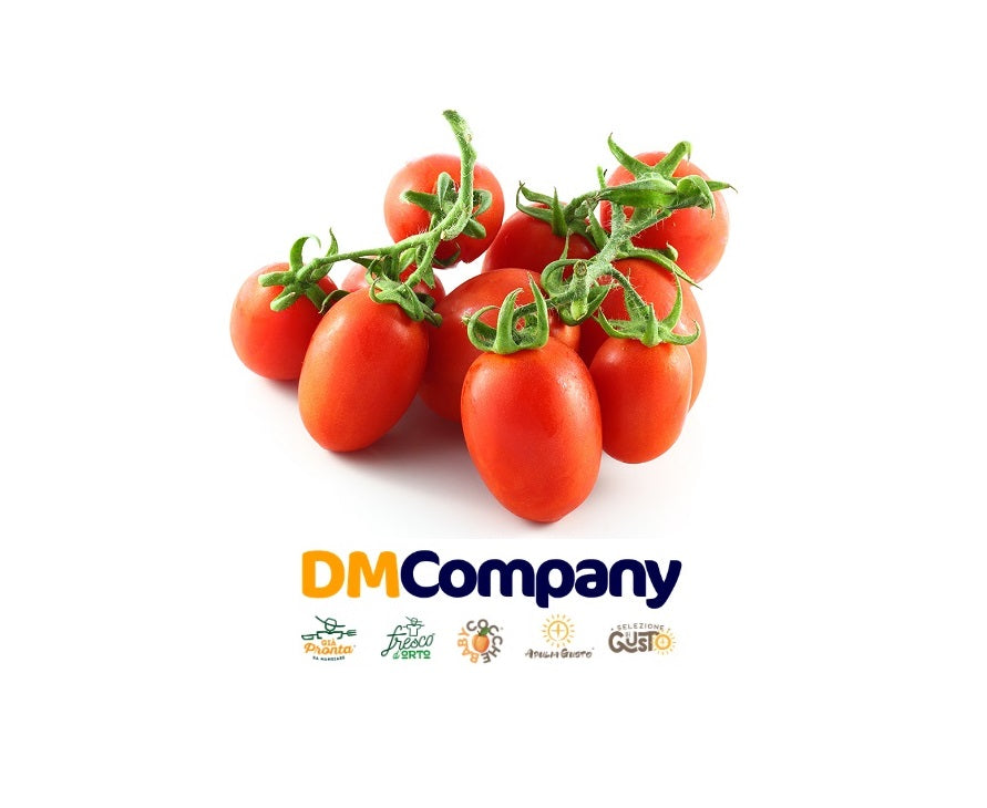 Pomodori Datterini freschi da DM Company Srl a Bisceglie Puglia e delizie della puglia - 0958100829 con Fresco D'Orto a Bisceglie