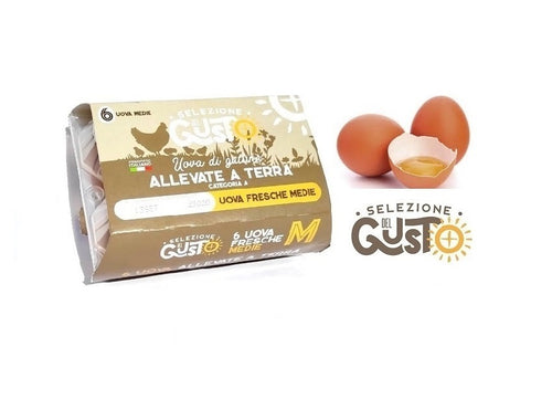 Uova Medie e Uova Grandi di Gallina Allevate a Terra una Delizia della Puglia – 0958100002 da Bisceglie in Puglia 
