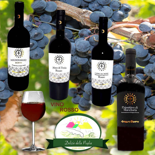 Negroamaro - Vini rossi pregiati di Puglia il Vino rosso Pugliese Negroamaro e Castel del Monte una vera Delizia della Puglia a Bisceglie